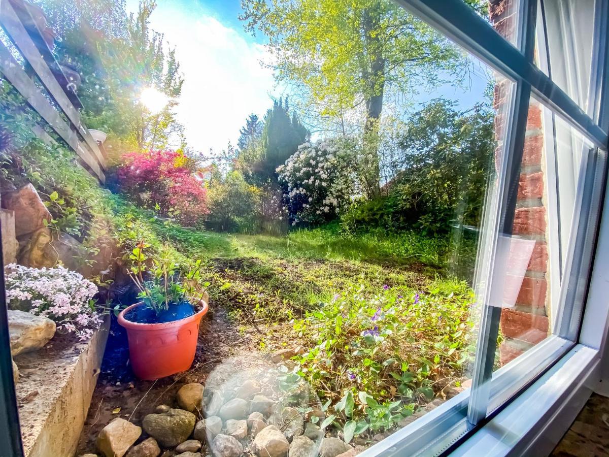 Ferienwohnung Im Sachsenwald Dassendorf Extérieur photo